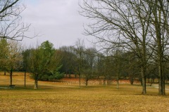 2022-02-11_10