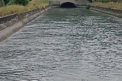 2023-07-12_12