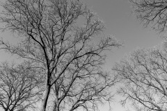 2022-01-21_07