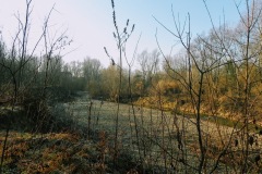 2022-01-21_08