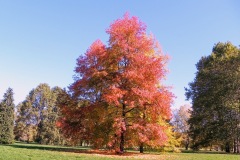 2021-11-05_12
