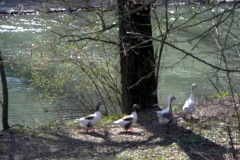 2014-03-07_08